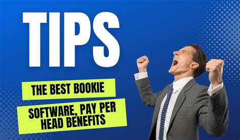 bookmaker agent software